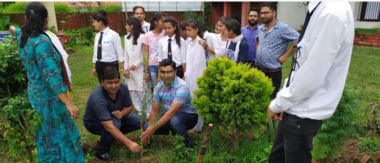 Nav Chetna College Dehradun Harela festival photo 4